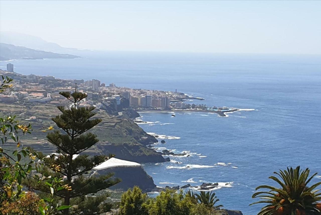 Estudio Brillante, Confortable Y Agradable Puerto de la Cruz  Ngoại thất bức ảnh
