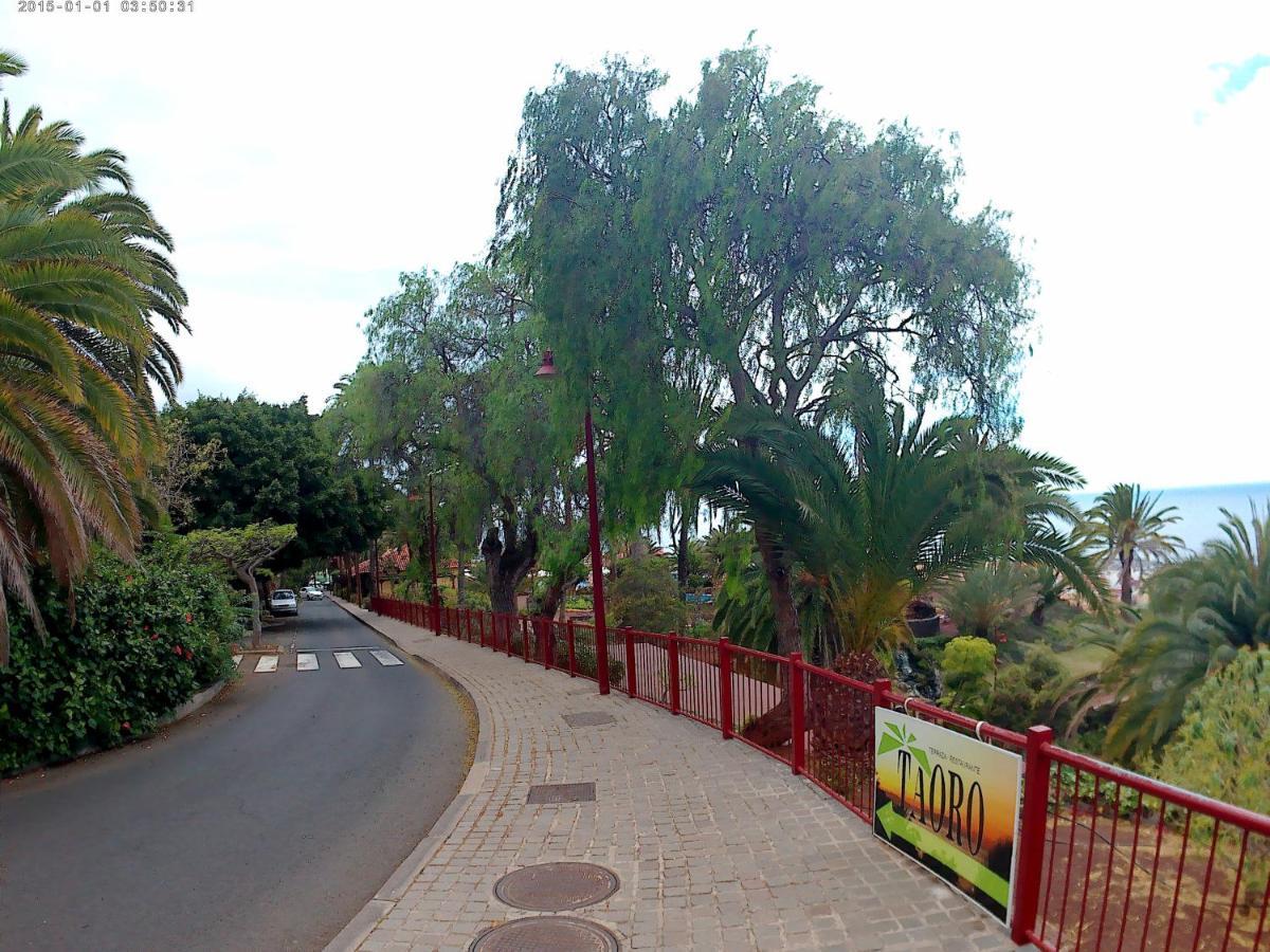 Estudio Brillante, Confortable Y Agradable Puerto de la Cruz  Ngoại thất bức ảnh