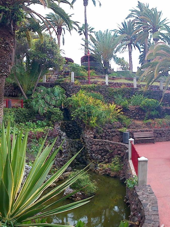 Estudio Brillante, Confortable Y Agradable Puerto de la Cruz  Ngoại thất bức ảnh