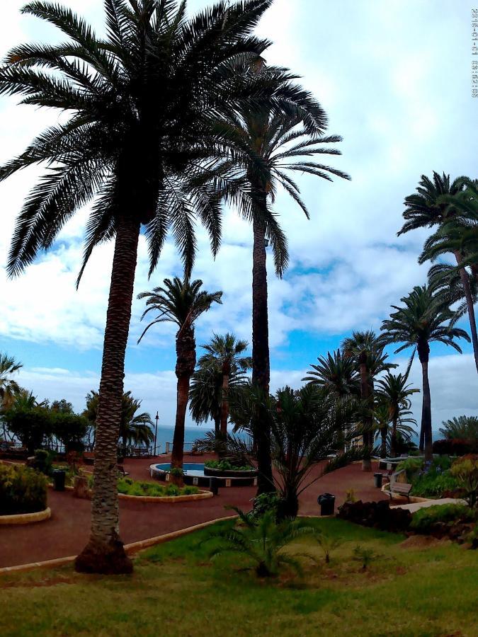 Estudio Brillante, Confortable Y Agradable Puerto de la Cruz  Ngoại thất bức ảnh