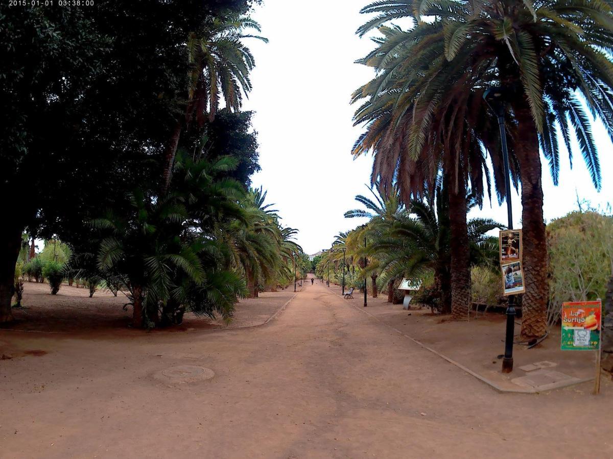 Estudio Brillante, Confortable Y Agradable Puerto de la Cruz  Ngoại thất bức ảnh
